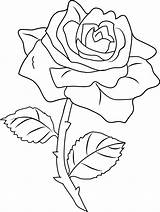 Rose Drawing Drawings Clipart Line Cliparts Library sketch template