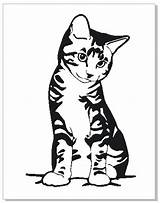 Stencil Cat Stencils Silhouette Animal Painting Cats Coloring Pages Tattoo Patterns Chat Sitting Scroll Templates Saw Kittens Google Colorier Animaux sketch template