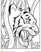 Coloring Tiger Pages Clemson Growling Tigers Animal Cub Animals Angry Color Printable Wild Sheets Colouring Kids Teeth Cat Worksheet Painting sketch template