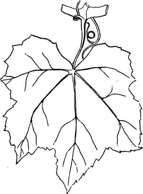 grape leaf pattern printable sketch coloring page