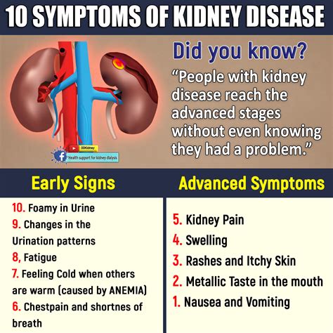 kidney dialysis  symptoms  kidney disease