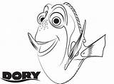 Dory Coloriage Ricerca Colorare Alla Greatestcoloringbook sketch template