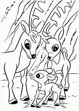 Coloring Rudolph Reindeer Pages Printable Christmas Baby Red Nosed Kids Santa Book Cute Color Sheets Drawing Coloriage Print Rudolf Filminspector sketch template