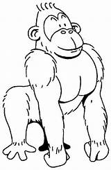 Gorilla Gorille Gorila Animaux Coloriage Coloriages sketch template
