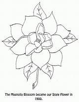 Magnolia Coloringhome Bestcoloringpagesforkids sketch template