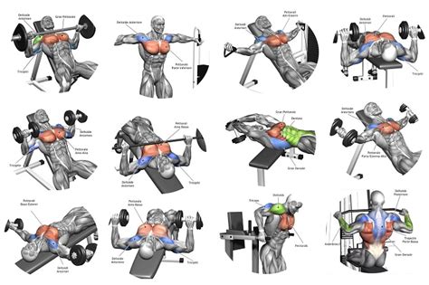 tips    chest workout multiple fitness