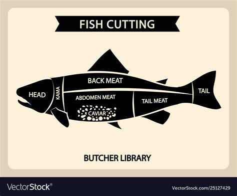fish meat cutting vintage chart cuts guide vector image