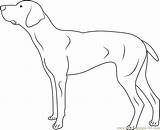 Doberman Coloring Pages Dog Dogs Kids Coloringpages101 Color Online Mammals sketch template