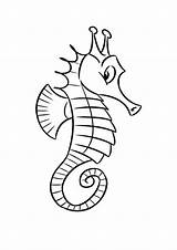 Zeepaardje Kleurplaat Hippocampe Zeepaardjes Hippocampes Dessiner Tekenen Coloriages Curieux Kleurplaten Seahorse Poisson Vissen Ccm2 Marins Visiter Enfants Poissons Downloaden sketch template