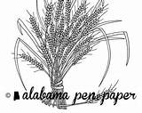 Wheat Harvest Coloring sketch template
