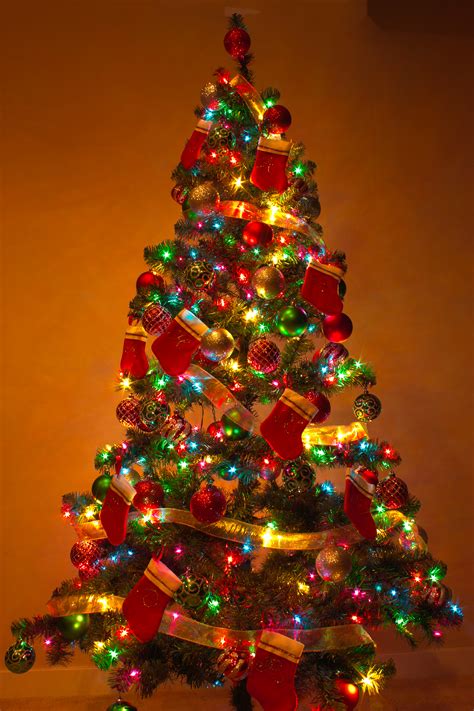 filey christmas tree jpg wikipedia   encyclopedia