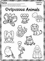 Oviparous Animals Animal Preview Activities sketch template