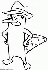 Perry Phineas Ferb Letscolorit Platypus sketch template