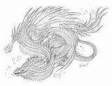 Serpent Drachen Drache Malvorlagen Drago Erwachsene Draghi Luxus Scoredatscore Innen Fantasie Snake Kinderbilder Malvorlage Serpente Marini Seeschlangen sketch template