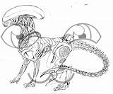 Coloring Xenomorph Pages Predalien Template sketch template