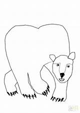 Bear Polar Coloring Pages Hear Brown Corduroy Drawing Baby Outline Line Cute Bears Print Printable Getcolorings Colorings Getdrawings Cub Clipartmag sketch template