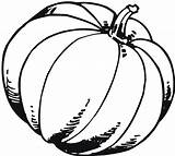 Pumpkin Coloring Printable Pages Outline Kids Drawing Blank Fall Template Patch Print Scary Coloring4free Pumpkins Color Gourd Preschoolers Benefits Clipartmag sketch template