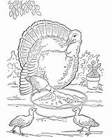 Pages Realistic Coloring Turkey Printable Animal Getcolorings sketch template