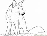 Coloringpages101 Foxes sketch template