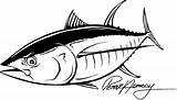 Tuna Yellowfin Atun Pesca Peces sketch template