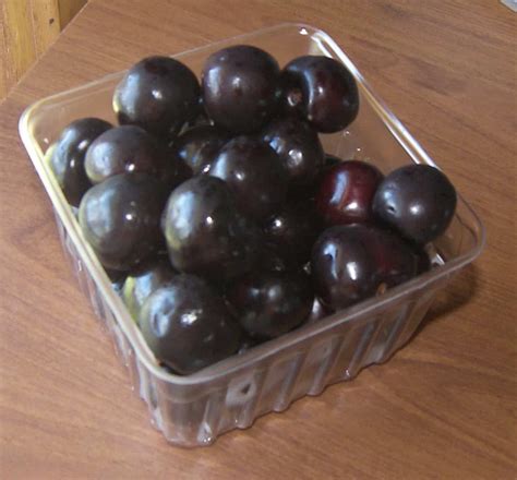Michigan Black Cherries Eat Like No One Else