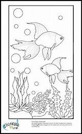 Coloring Goldfish Pages Kids Easy Ministerofbeans Bookmark Url Fish Animal Title Read sketch template
