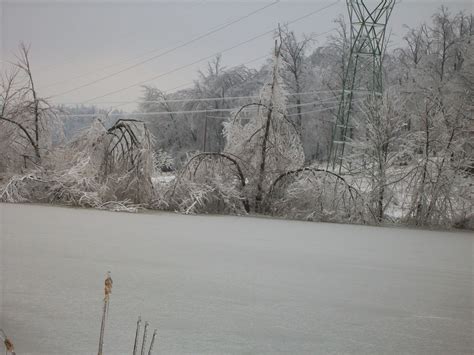 Caneyville Ky Pond After Ice Storm Photo Picture