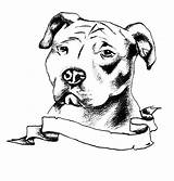 Pitbull Pit Bulls Angry Template Pitbulls Golfian Stencils Cani Tatuaggi Ouvrir Publicada sketch template