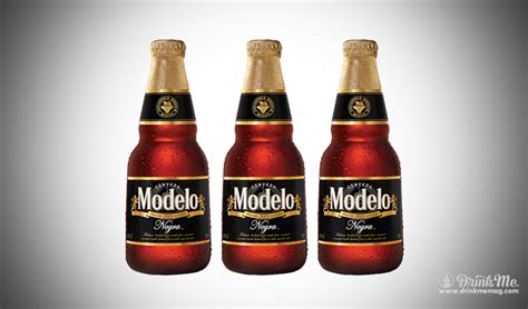 mexican beers  quench  thirst drink