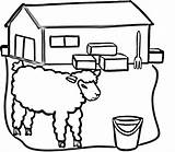 Barn Coloring Red Sheep Getdrawings Drawing sketch template