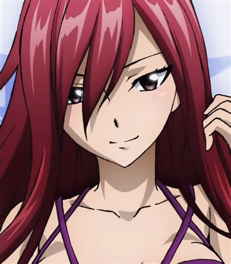 erza daily  twitter fairy tail anime fairy tail characters fairy