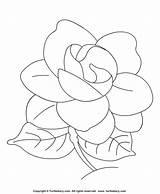 Gardenia Flower Coloring Drawing Color Flowers Print Drawings Sheet Pages Crafts Kids Big Paintingvalley sketch template