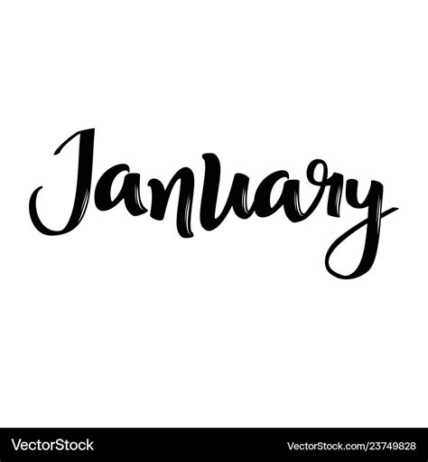 january month  handwritten calligraphic word vector image