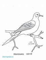 Feeder Drawing Getdrawings Bird Coloring sketch template