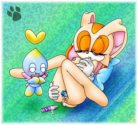 Rule 34 1girls Anal Blush Chao Cheese The Chao Color Cream The Rabbit
