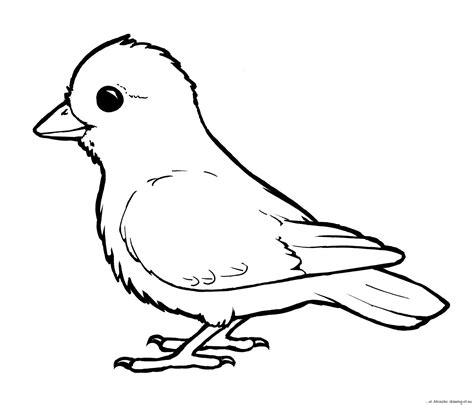 bird coloring page drawing ofeu