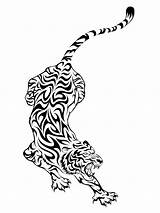 Tiger Tigre Tatouage Tatuagem Tatuaggio Depositphotos Tatoo Tatouages Vinilo Vetor Vecteur Tigres Pixers Droits Visualización Proveedor sketch template