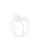 Coloring Pages Pepper Bell Yellow Capsicum sketch template