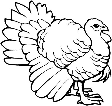 turkey coloring pages  printable