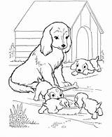 Coloring Puppies Pages Retriever Golden Comments sketch template