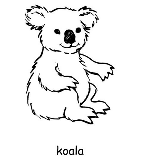 australia day coloring pages  coloring kids