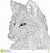 Wolf Zentangle Stylized Coloring Adult Vector Logo Cartoon Sketch Royalty sketch template