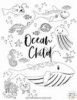 Preschoolers Colouring Naturalbeachliving Thediymommy sketch template
