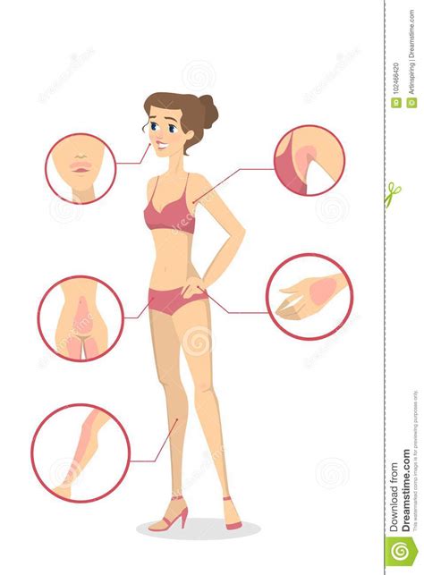 female depilation zones stock vector illustration of health 102466420