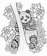 Coloring Pages Panda Blank Printable Mandala Ausmalbilder Animal Zentangle Tiere Zum Ausdrucken Adult Sheet Beautiful Color Ruva Malvorlage Pandas Malvorlagen sketch template