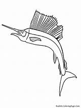 Fish Coloring Tropical Pages Parrot Drawing Sailfish Bird Getdrawings Getcolorings Popular sketch template