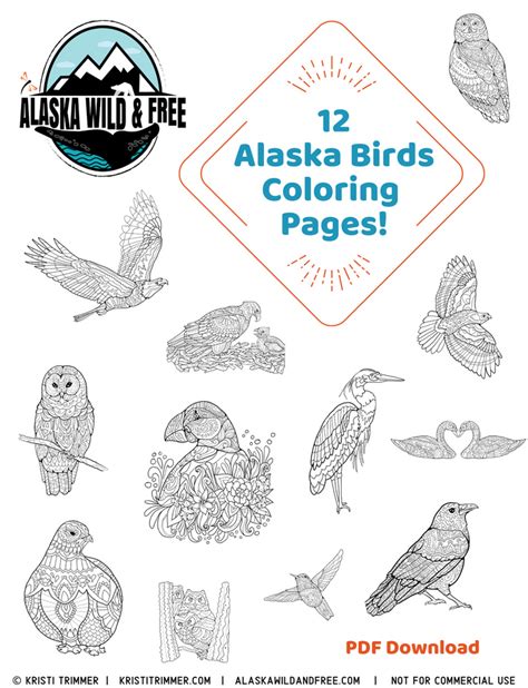 color alaska bird coloring pages alaska wild