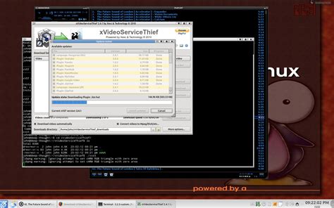 xvideo service thief  good video downloader  linux securitron linux blog
