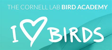 win   spot   cornell lab bird academy  ebird