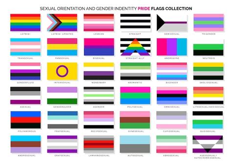 premium vector sexual orientation and gender identity pride flags